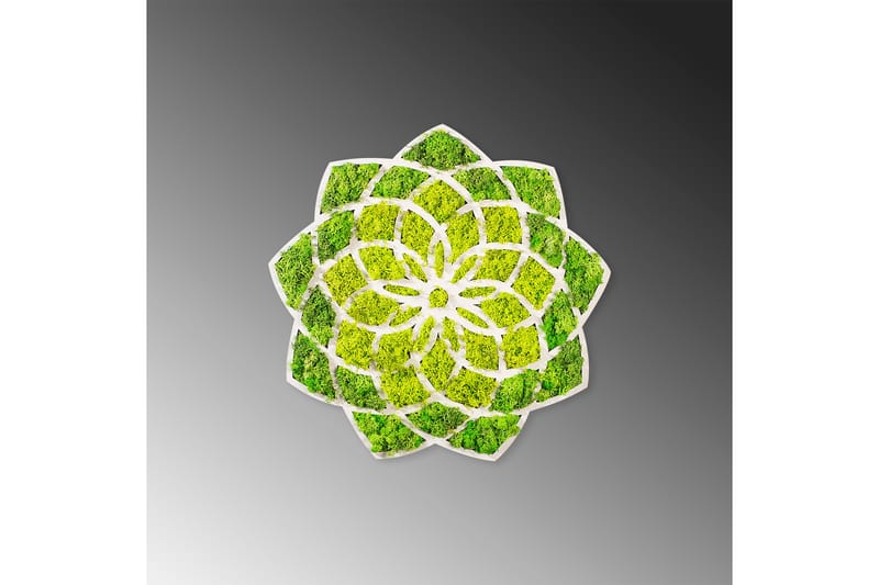 Daisy Canvasbillede - 44x44 cm - Boligtilbehør - Billeder & kunst - Billeder på lærred