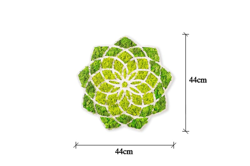 Daisy Canvasbillede - 44x44 cm - Boligtilbehør - Billeder & kunst - Billeder på lærred