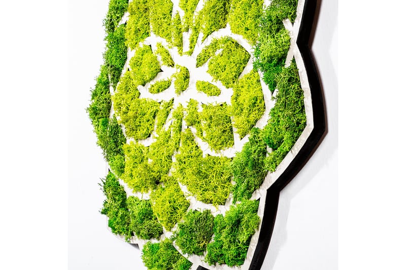 Daisy Canvasbillede - 44x44 cm - Boligtilbehør - Billeder & kunst - Billeder på lærred