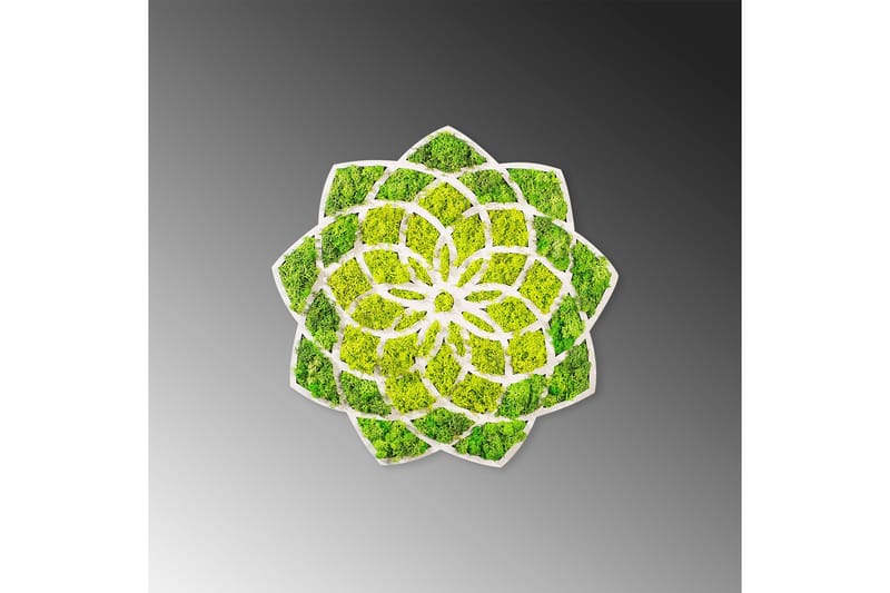 Daisy Canvasbillede - 44x44 cm - Boligtilbehør - Billeder & kunst - Billeder på lærred