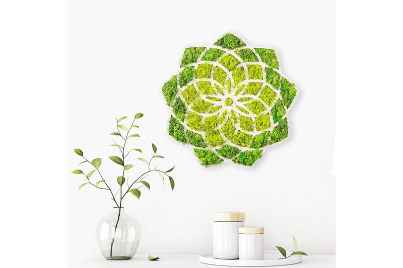 Daisy Canvasbillede - 44x44 cm - Boligtilbehør - Billeder & kunst - Billeder på lærred