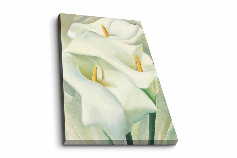 Decorative Canvas Painting 70x100, undefined
