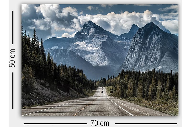 Decorative Canvas Painting 50x70 - Boligtilbehør - Billeder & kunst - Billeder på lærred