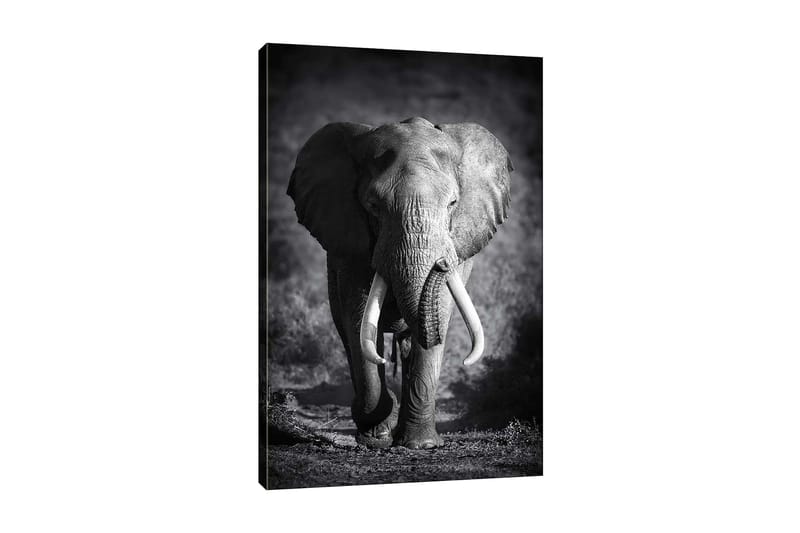 Decorative Canvas Painting 70x100 - Boligtilbehør - Billeder & kunst - Billeder på lærred