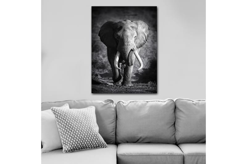 Decorative Canvas Painting 70x100 - Boligtilbehør - Billeder & kunst - Billeder på lærred