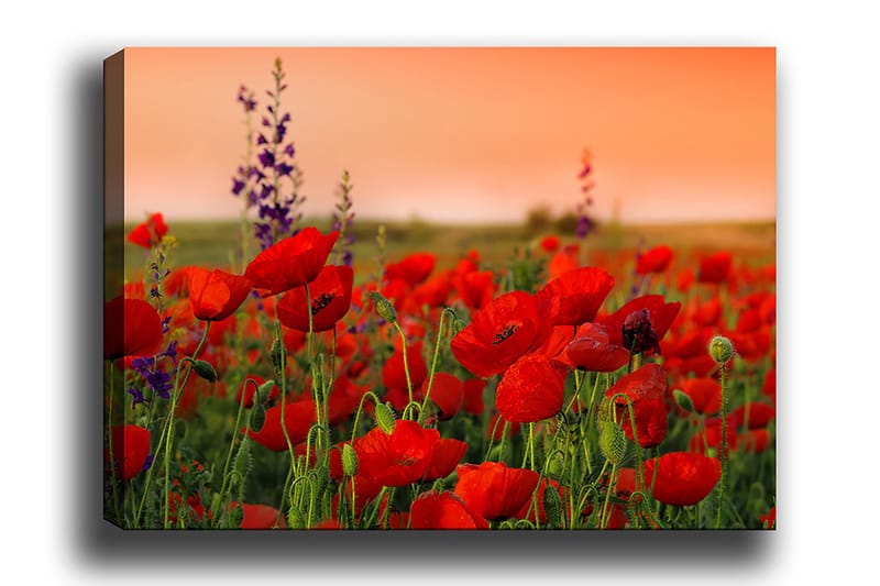Decorative Canvas Painting 50x70 - Boligtilbehør - Billeder & kunst - Billeder på lærred