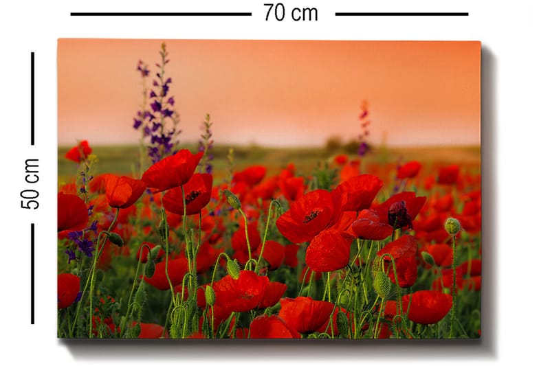 Decorative Canvas Painting 50x70 - Boligtilbehør - Billeder & kunst - Billeder på lærred