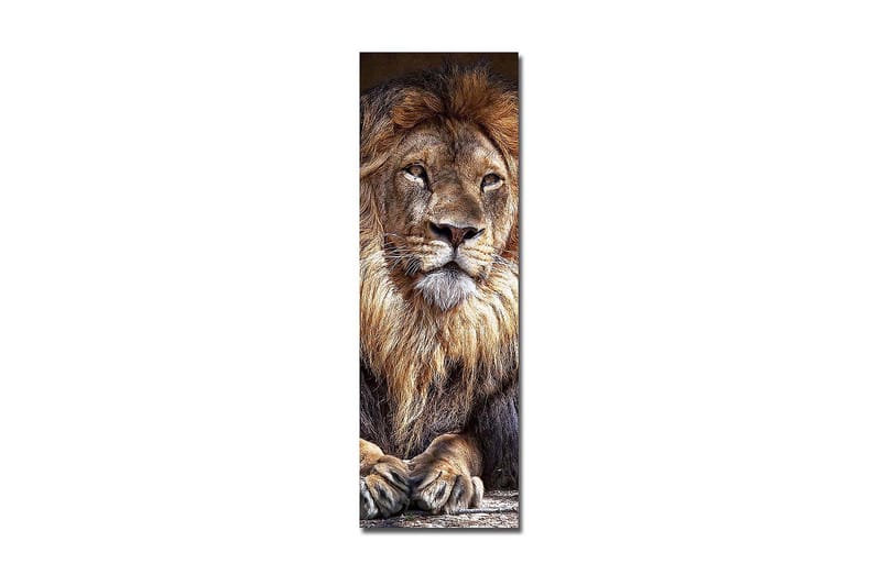 Decorative Canvas Painting 30x90 - Boligtilbehør - Billeder & kunst - Billeder på lærred