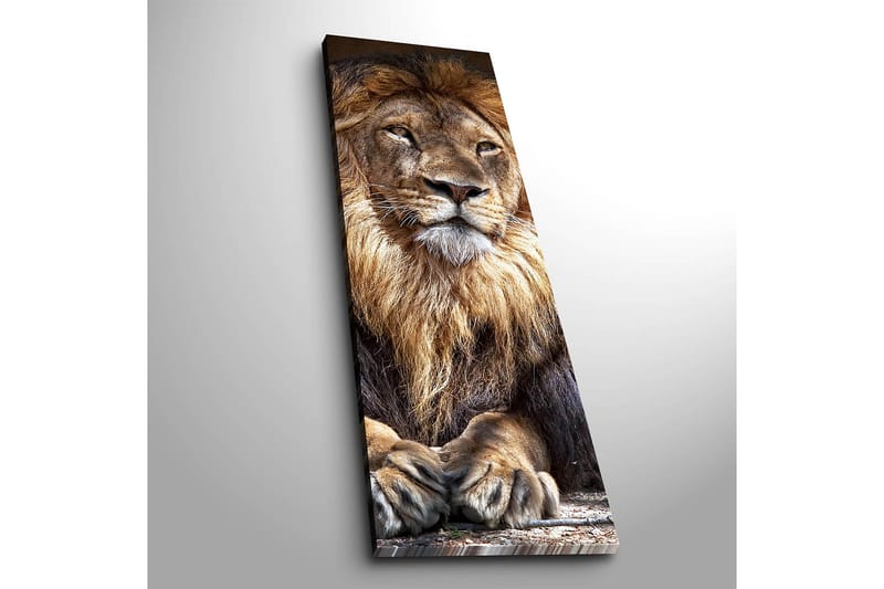 Decorative Canvas Painting 30x90 - Boligtilbehør - Billeder & kunst - Billeder på lærred