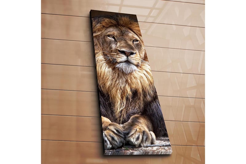 Decorative Canvas Painting 30x90 - Boligtilbehør - Billeder & kunst - Billeder på lærred