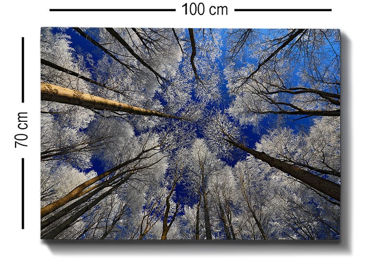 Decorative Canvas Painting 70x100 - Boligtilbehør - Billeder & kunst - Billeder på lærred