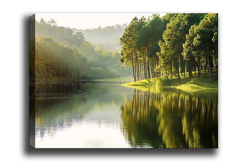 Decorative Canvas Painting 70x100, undefined