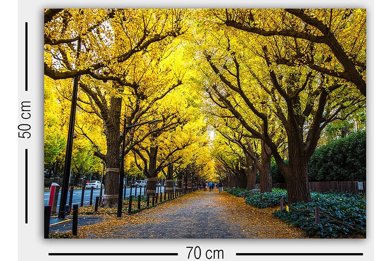 Decorative Canvas Painting 50x70 - Boligtilbehør - Billeder & kunst - Billeder på lærred