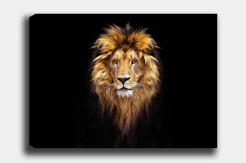 Decorative Canvas Painting 50x70, undefined