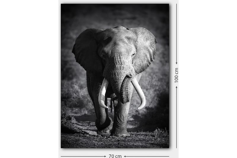 Decorative Canvas Painting 70x100 - Boligtilbehør - Billeder & kunst - Billeder på lærred