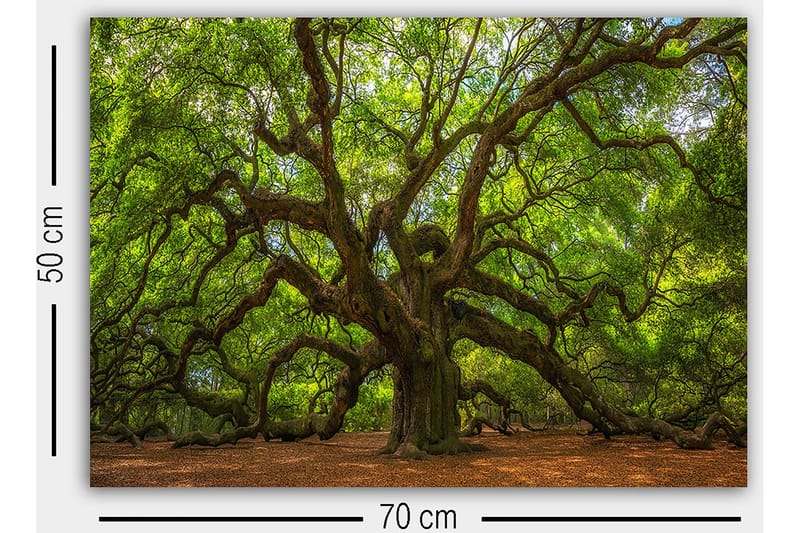 Decorative Canvas Painting 50x70 - Boligtilbehør - Billeder & kunst - Billeder på lærred