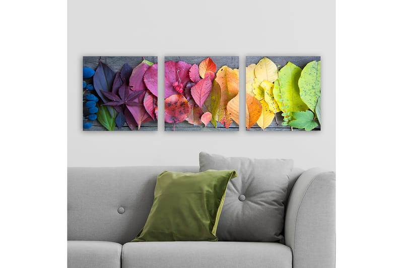 Decorative Canvas Painting (3 Pieces) 30x30, undefined