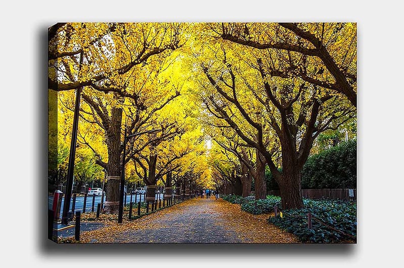 Decorative Canvas Painting 50x70, undefined