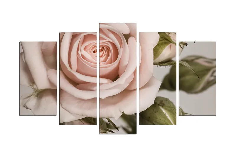 Decorative MDF-maleri (5 stk) 20x60, undefined