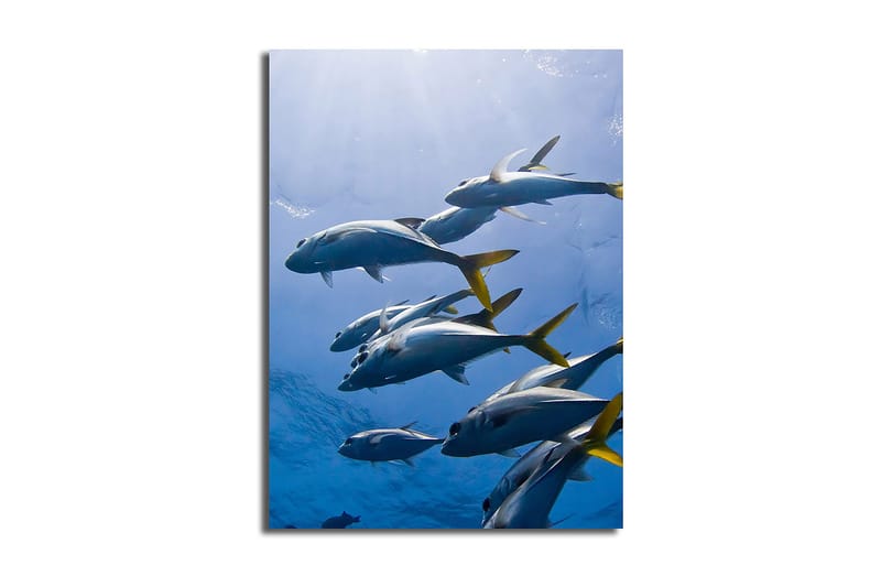 Dekorativ Canvasbillede 28x38 cm, Flerfarvet