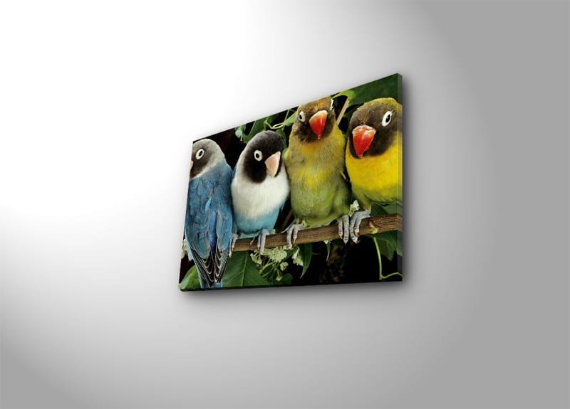 Dekorativ Canvasbillede 28x38 cm, Flerfarvet