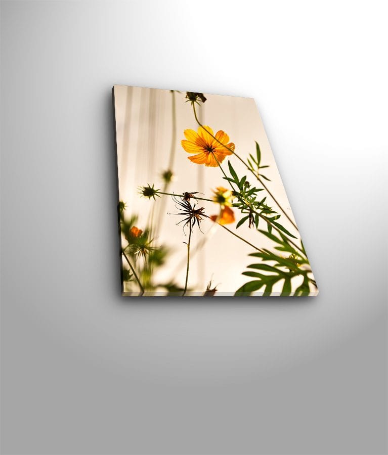 Dekorativ Canvasbillede 28x38 cm - Flerfarvet - Boligtilbehør - Billeder & kunst - Billeder på lærred