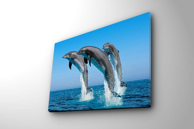 Dekorativ Canvasbillede 28x38 cm - Flerfarvet - Boligtilbehør - Billeder & kunst - Billeder på lærred