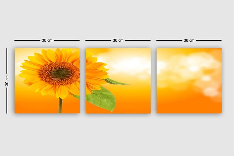 Dekorativ Canvasbillede 3-Dele 30x30 cm - Flerfarvet - Boligtilbehør - Billeder & kunst - Billeder på lærred