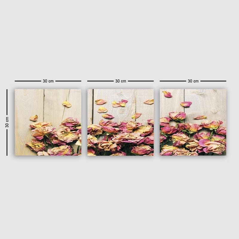 Dekorativ Canvasbillede 3-Dele 30x30 cm, Flerfarvet