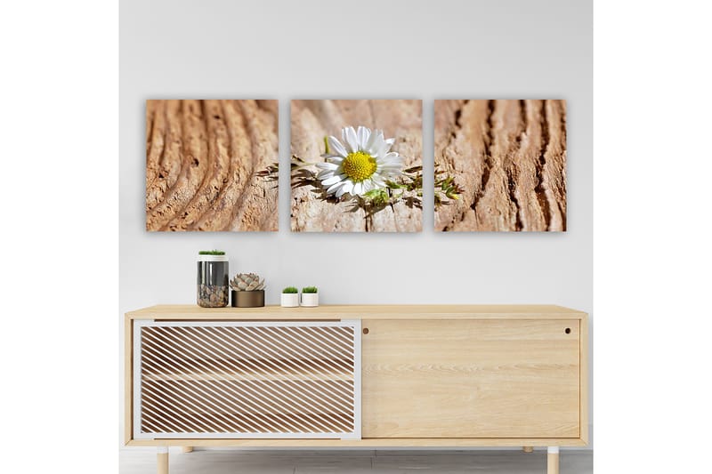 Dekorativ Canvasbillede 3-Dele 30x30 cm - Flerfarvet - Boligtilbehør - Billeder & kunst - Billeder på lærred