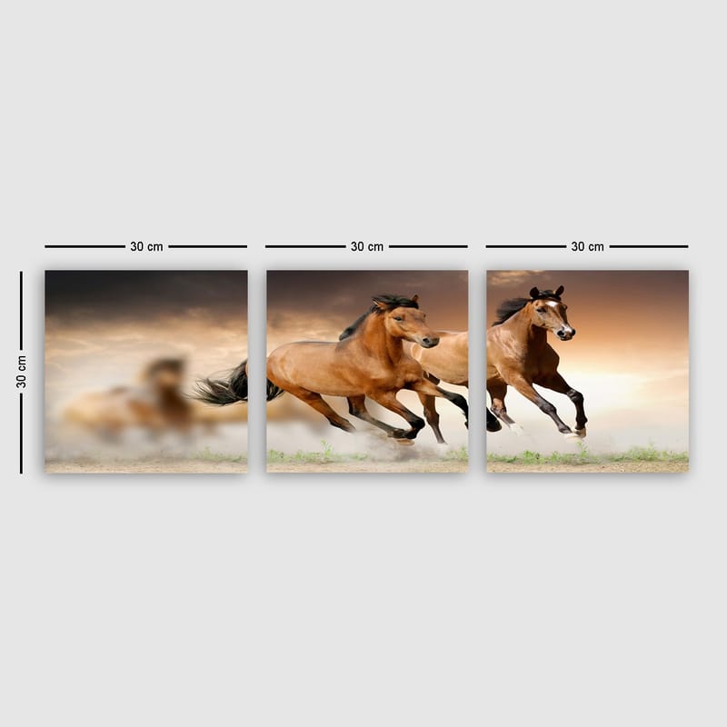 Dekorativ Canvasbillede 3-Dele 30x30 cm - Flerfarvet - Boligtilbehør - Billeder & kunst - Billeder på lærred