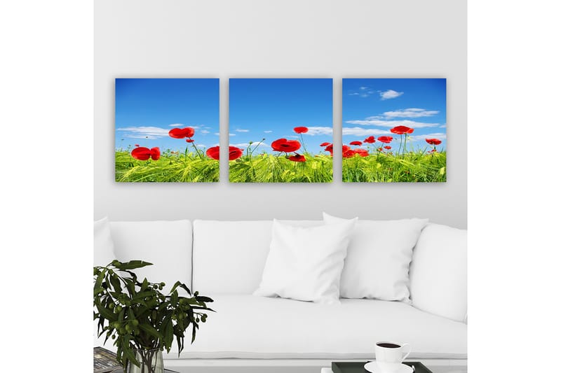 Dekorativ Canvasbillede 3-Dele 30x30 cm - Flerfarvet - Boligtilbehør - Billeder & kunst - Billeder på lærred