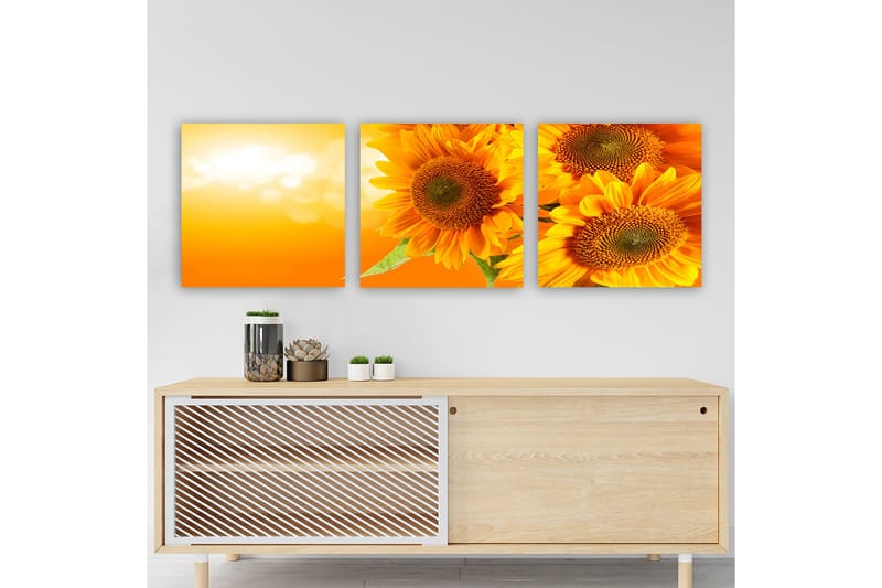 Dekorativ Canvasbillede 3-Dele 30x30 cm - Flerfarvet - Boligtilbehør - Billeder & kunst - Billeder på lærred