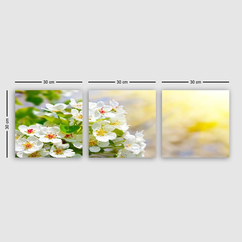 Dekorativ Canvasbillede 3-Dele 30x30 cm - Flerfarvet - Boligtilbehør - Billeder & kunst - Billeder på lærred