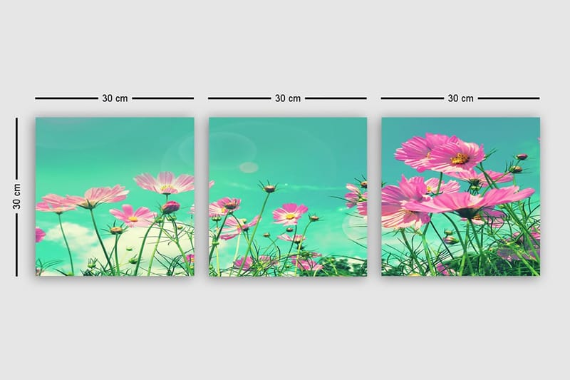 Dekorativ Canvasbillede 3-Dele 30x30 cm - Flerfarvet - Boligtilbehør - Billeder & kunst - Billeder på lærred