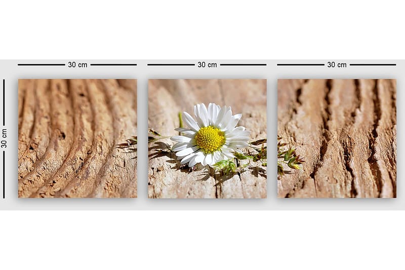 Dekorativ Canvasbillede 3-Dele 30x30 cm - Flerfarvet - Boligtilbehør - Billeder & kunst - Billeder på lærred