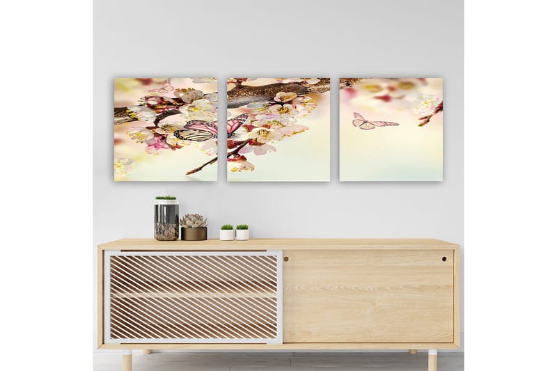 Dekorativ Canvasbillede 3-Dele 30x30 cm, Flerfarvet