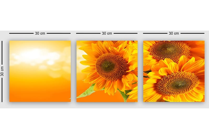 Dekorativ Canvasbillede 3-Dele 30x30 cm - Flerfarvet - Boligtilbehør - Billeder & kunst - Billeder på lærred