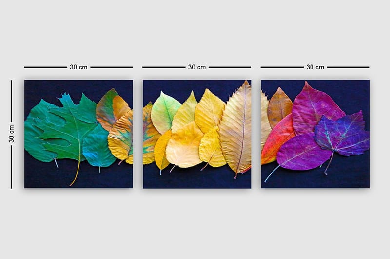 Dekorativ Canvasbillede 3-Dele 30x30 cm - Flerfarvet - Boligtilbehør - Billeder & kunst - Billeder på lærred