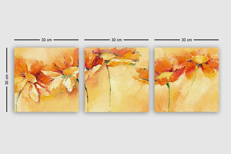 Dekorativ Canvasbillede 3-Dele 30x30 cm - Flerfarvet - Boligtilbehør - Billeder & kunst - Billeder på lærred