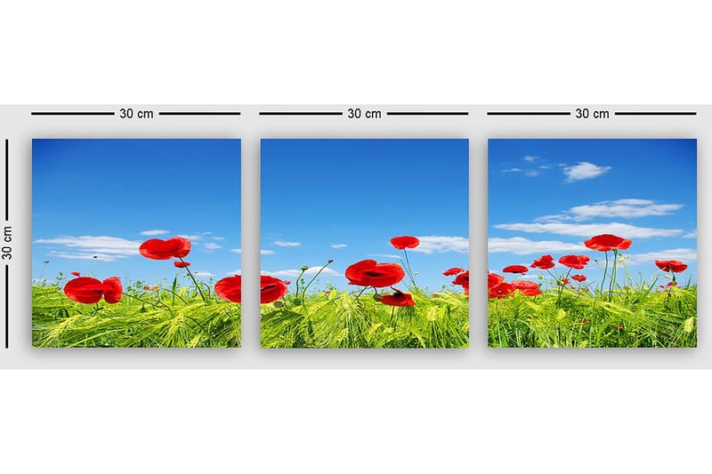 Dekorativ Canvasbillede 3-Dele 30x30 cm - Flerfarvet - Boligtilbehør - Billeder & kunst - Billeder på lærred