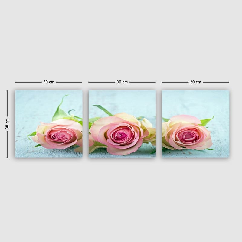 Dekorativ Canvasbillede 3-Dele 30x30 cm, Flerfarvet