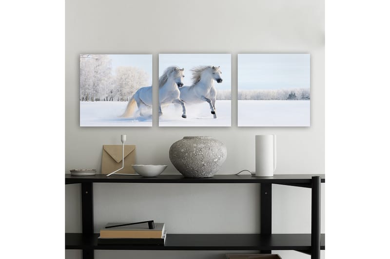 Dekorativ Canvasbillede 3-Dele 30x30 cm, Flerfarvet