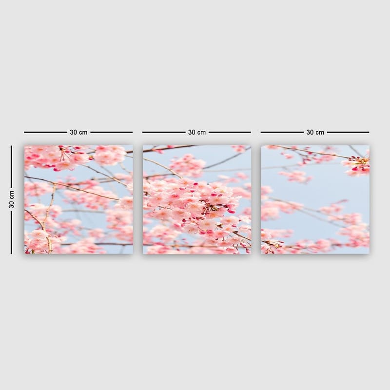 Dekorativ Canvasbillede 3-Dele 30x30 cm, Flerfarvet