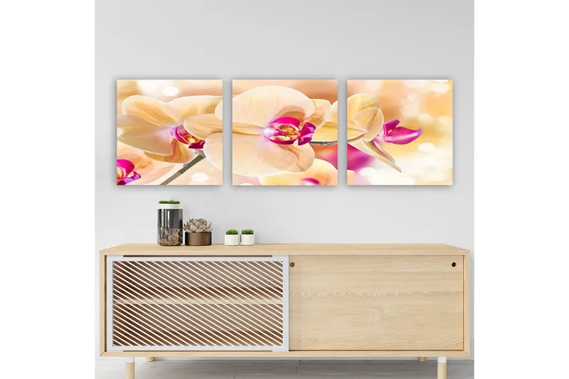 Dekorativ Canvasbillede 3-Dele 30x30 cm, Flerfarvet