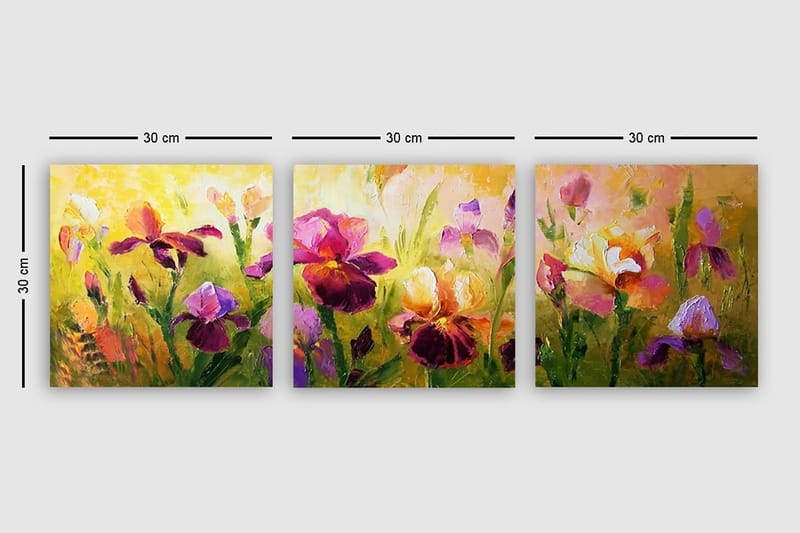 Dekorativ Canvasbillede 3-Dele 30x30 cm - Flerfarvet - Boligtilbehør - Billeder & kunst - Billeder på lærred