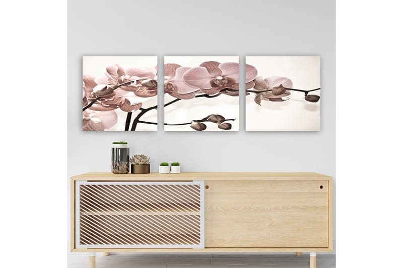 Dekorativ Canvasbillede 3-Dele 30x30 cm, Flerfarvet