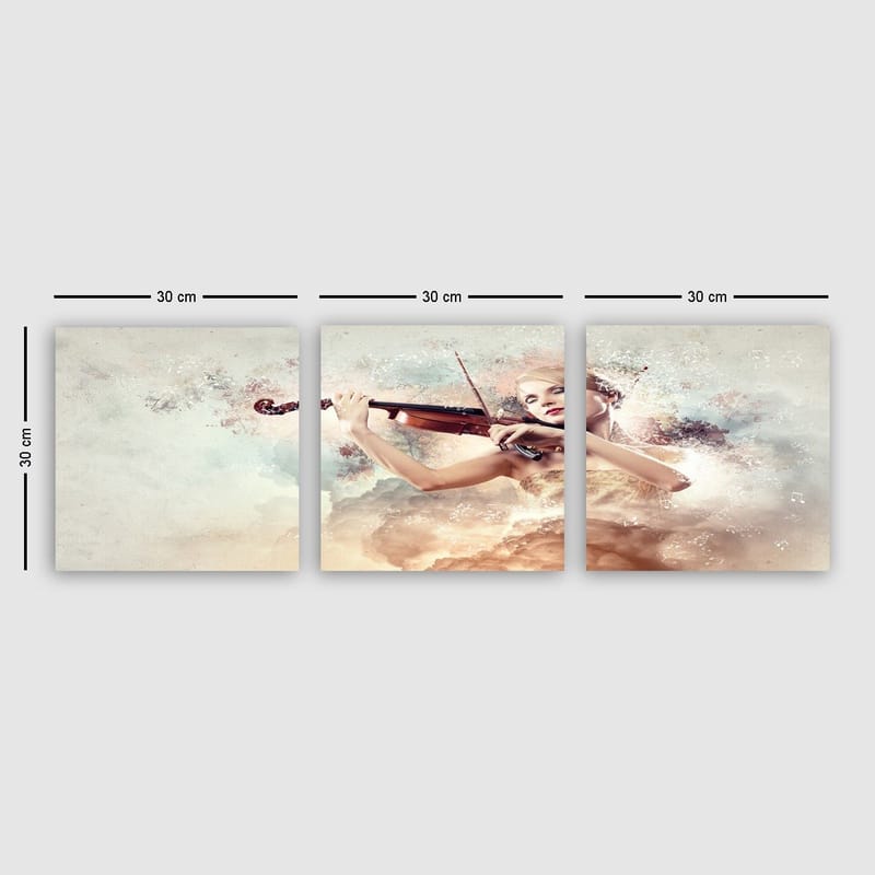 Dekorativ Canvasbillede 3-Dele 30x30 cm, Flerfarvet