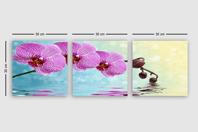 Dekorativ Canvasbillede 3-Dele 30x30 cm - Flerfarvet - Boligtilbehør - Billeder & kunst - Billeder på lærred