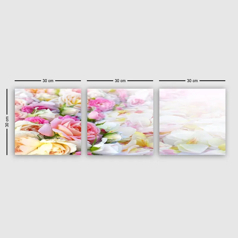 Dekorativ Canvasbillede 3-Dele 30x30 cm, Flerfarvet